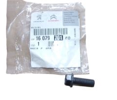 Μπουλόνι Νέο Γνήσιο 1607970180 Citroen Peugeot