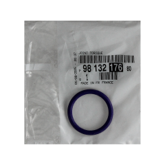 Παρέμβυσμα, στεγανωτικό Citroen Peugeot 9813217680 Νέο Γνήσιο