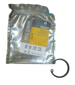 Δακτύλιος στεγανοποίησης Νέο Γνήσιο 8200328319 Renault Master 2