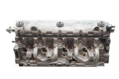 Κυλινδροκεφαλή 4954 1.9 dci F9Q732 Renault Megane Scenic