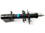 Αμορτισέρ Εμπρός Γνήσιο Kangoo II Kubistar 543020572R